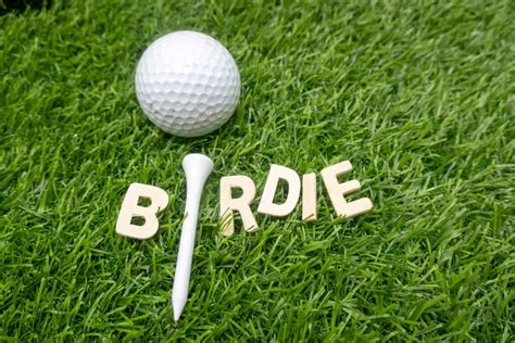 Birdie Definition Golf: A Feathered Tale on the Fairways