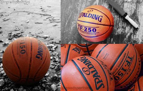 What Size Basketball Should I Get: A Journey Through Dimensions and Dreams