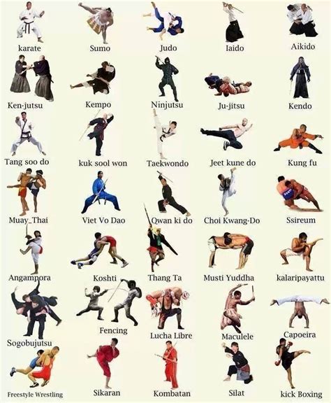 What Type of Martial Arts Are There: Exploring the Spectrum of Combat Styles and Their Philosophical Underpinnings